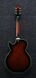 IBANEZ AG95QA-DBS Гітара напівакустична IB-0054 фото 1