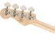 SQUIER by FENDER PARANORMAL JAZZ BASS '54 MN BTB Бас-гітара SQ-0185 фото 3