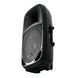 Пасивна акустична система Omnitronic VFM-215 OM-0034 фото 2