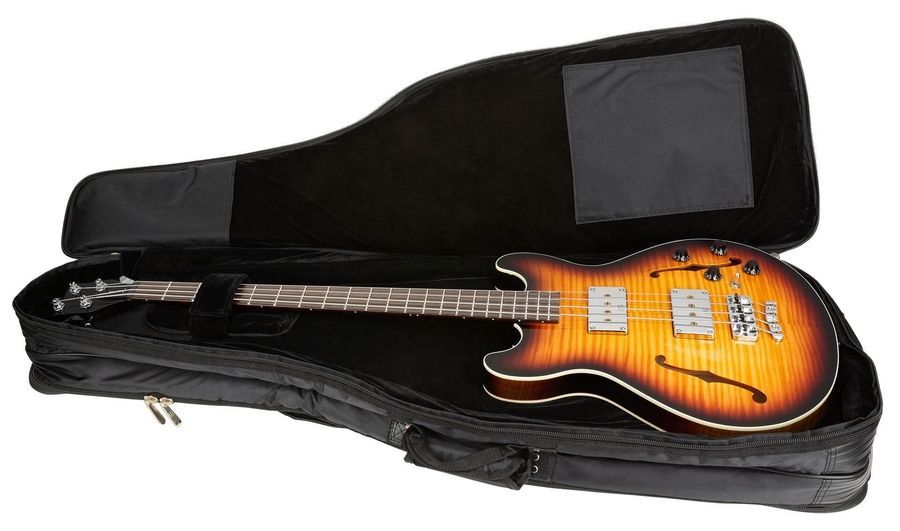 RockBag RB 20611 B/PLUS Double Gig Bag for 2 Electric Basses RB-0163 фото