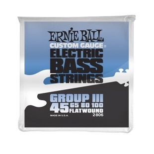 Струни для бас-гітари 45-100 Ernie Ball P02806 EB-0101 фото
