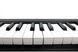 KORG MICROKEY2-37 MIDI клавиатура KO-0067 фото 3