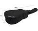 FENDER FA-125 WN NAT w/GIG BAG Гітара акустична FE-0335 фото 7
