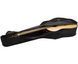 FENDER FA-125 WN NAT w/GIG BAG Гітара акустична FE-0335 фото 8