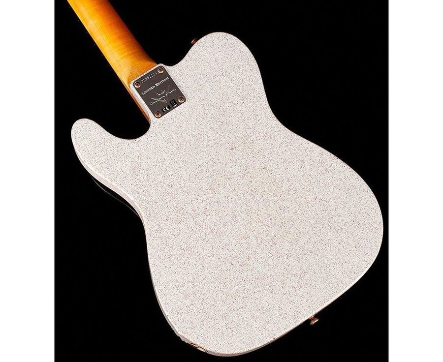 FENDER CUSTOM SHOP 70S TELECASTER CUSTOM JOURNEYMAN RELIC AUTUMN SHIMMER Електрогітара FE-0299 фото