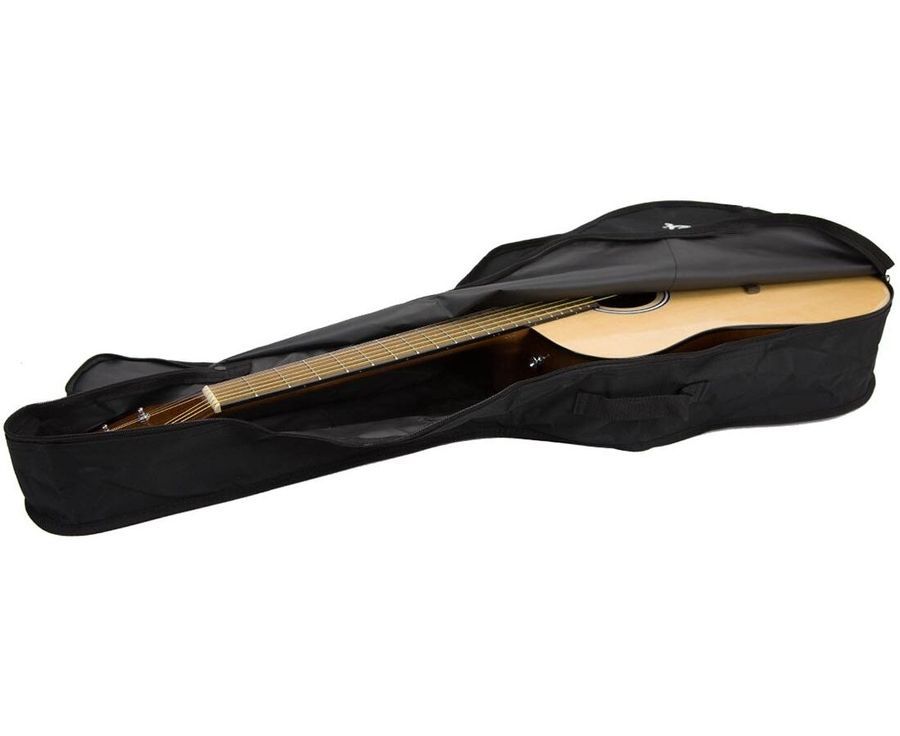 FENDER FA-125 WN NAT w/GIG BAG Гітара акустична FE-0335 фото