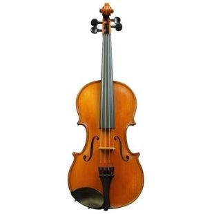 Скрипка Gliga Violin Gliga I (1/10) GL-0179 фото