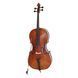 Виолончель Dimavery Cello 4/4 with Soft-bag DV-0002 фото 1