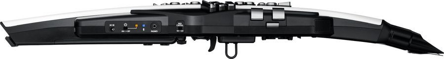 Аерофон Roland AE20 RO-2867 фото