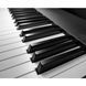 Midi-клавиатура Roland A-88MKII RO-2719 фото 7