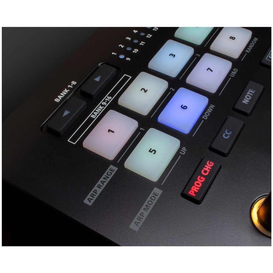 Midi-клавиатура Roland A-88MKII RO-2719 фото