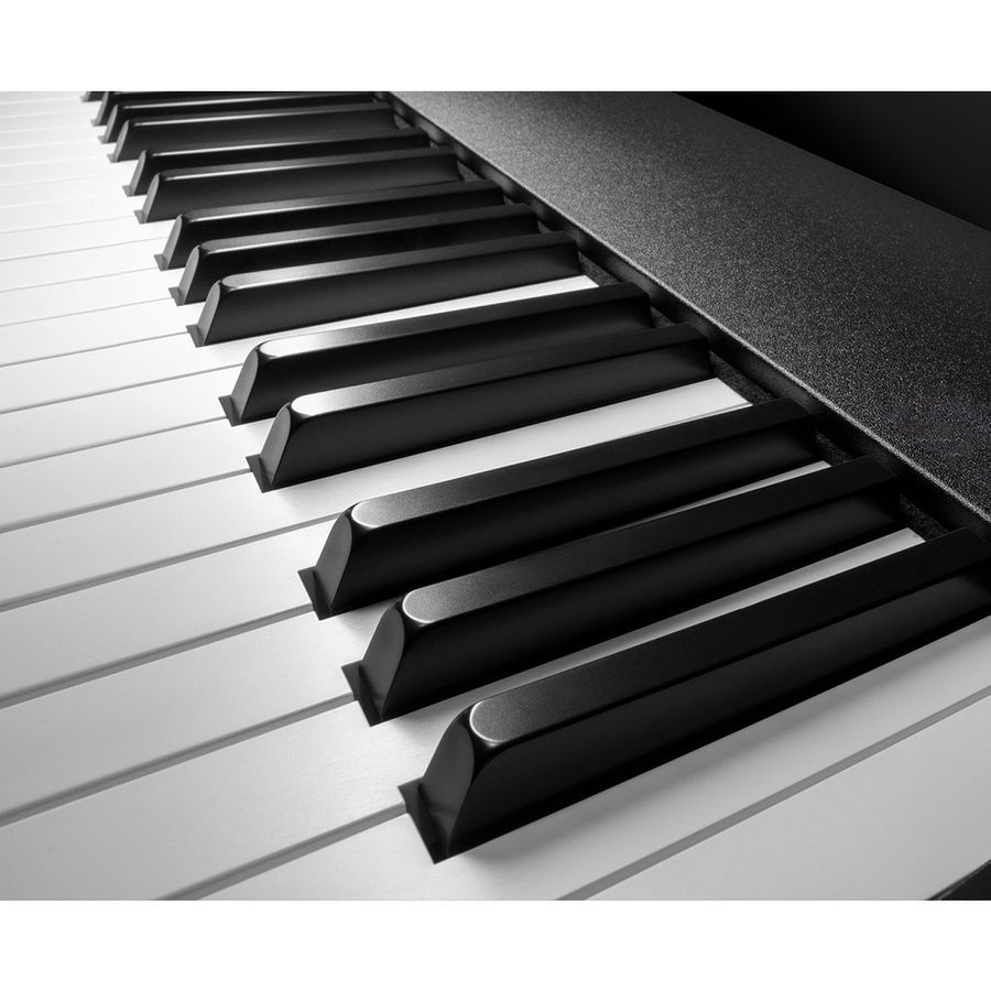 Midi-клавиатура Roland A-88MKII RO-2719 фото