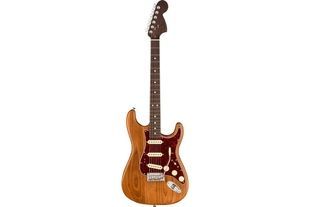 FENDER AMERICAN PROFESSIONAL STRAT LTD ROASTED ASH ROSEWOOD NECK Електрогітара FE-0225 фото