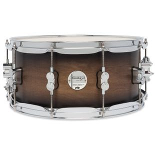 PDP PDCM6514SSSCB Concept Maple Snare, 6.5x14" PD-0305 фото
