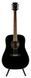 IBANEZ PF15 BK Гітара акустична IB-0021 фото