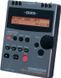 Портативний цифровой диктофон Roland R-1 RO-1264 фото 1
