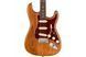 FENDER AMERICAN PROFESSIONAL STRAT LTD ROASTED ASH ROSEWOOD NECK Електрогітара FE-0225 фото 3