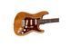 FENDER AMERICAN PROFESSIONAL STRAT LTD ROASTED ASH ROSEWOOD NECK Електрогітара FE-0225 фото 4