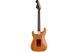FENDER AMERICAN PROFESSIONAL STRAT LTD ROASTED ASH ROSEWOOD NECK Електрогітара FE-0225 фото 2
