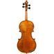 Скрипка Gliga Violin Gliga I GL-0203 фото 2