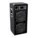 Пассивная акустическая система Omnitronic DX-2022 OM-0003 фото 2