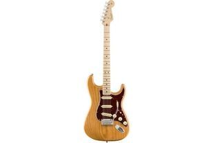 FENDER AMERICAN PROFESSIONAL LIMITED EDITION STRATOCASTER MN AGN Електрогітара FE-0224 фото