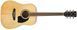 IBANEZ PF15 NT Гітара акустична IB-0022 фото 3