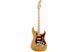 FENDER AMERICAN PROFESSIONAL LIMITED EDITION STRATOCASTER MN AGN Електрогітара FE-0224 фото 1