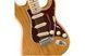 FENDER AMERICAN PROFESSIONAL LIMITED EDITION STRATOCASTER MN AGN Електрогітара FE-0224 фото 4