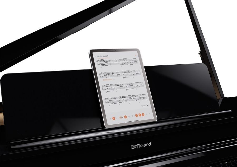 Цифровой рояль Roland GP6PE RO-2917 фото
