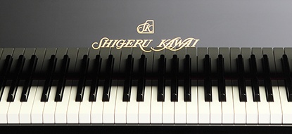 Цифрове гібридне піаніно Kawai Novus NV5S